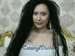 CataleyaDivine Stripx