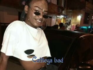 Cattleya_bad
