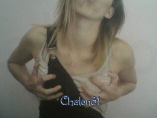 Chaton31