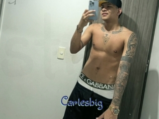 carlesbig Stripx