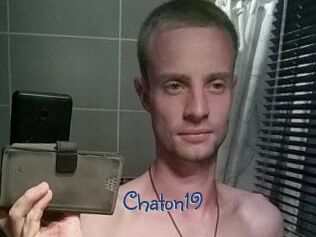 Chaton19