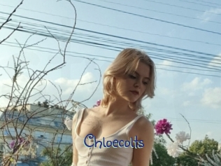 Chloecolts