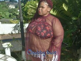 Chubby_bule