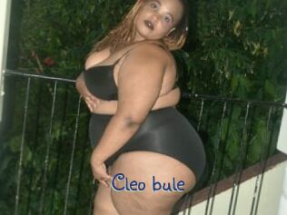 Cleo_bule