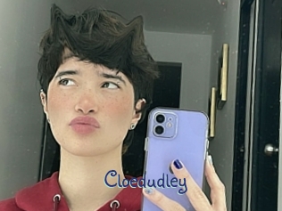 cloedudley Stripx
