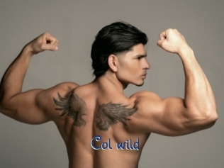 col_wild Stripx