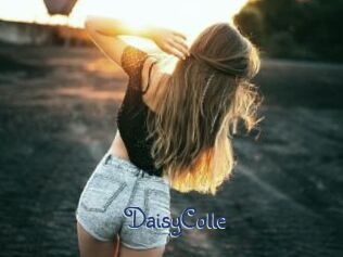 DaisyColle