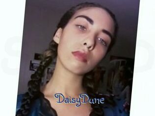 Daisy_Dune