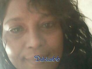 Dahlia66