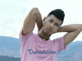 Damnfoxter