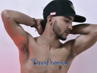 david_harlow Stripx