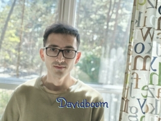 davidboom Stripx