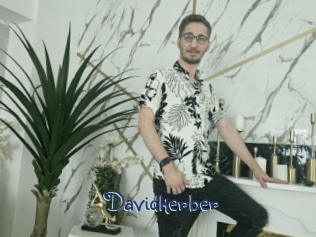 davidkerber Stripx
