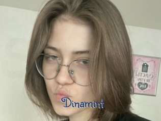 Dinamint