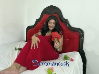 dominancock Stripx