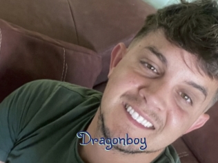 dragonboy Stripx