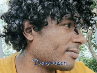 drakewilson Stripx