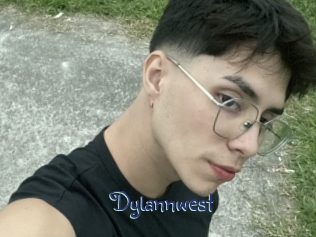 dylannwest Stripx