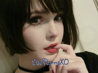 EllePurrsXO