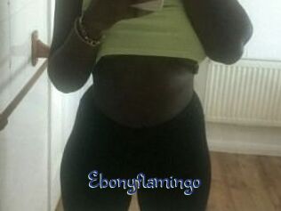 Ebony_flamingo