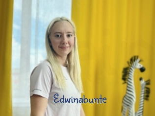 Edwinabunte