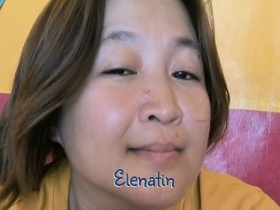 Elenatin