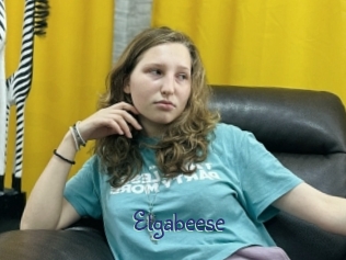 Elgabeese