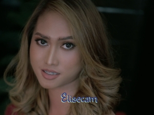 Elisecam
