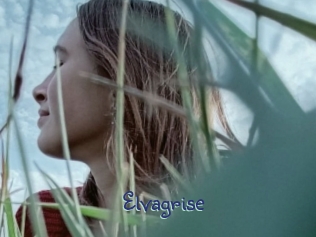 Elvagrise