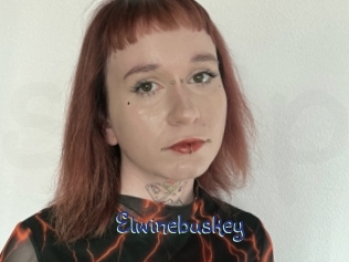 Elwinebuskey