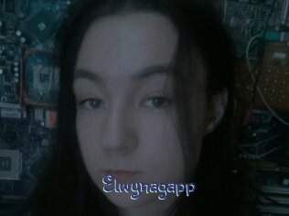 Elwynagapp
