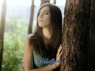 Emilyflow