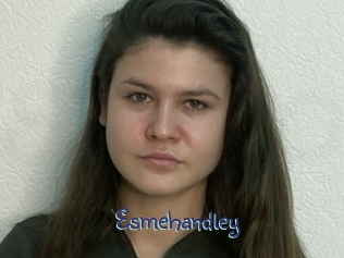 Esmehandley