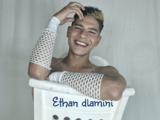 ethan_dlamini Stripx