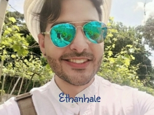 ethanhale Stripx