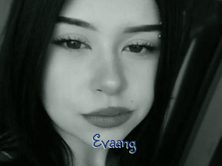 evaang Stripx