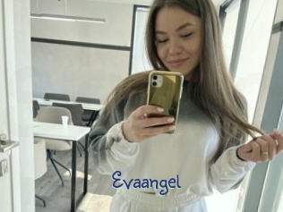 Evaangel