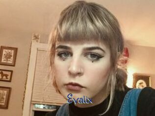 Evalix