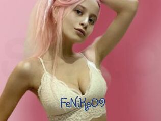 FeNiKs09