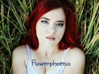 Flowerphoenix