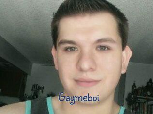 Gaymeboi