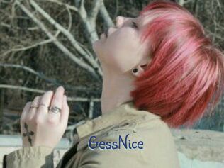 GessNice