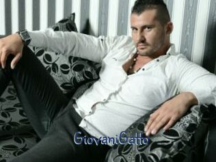 GiovaniGatto