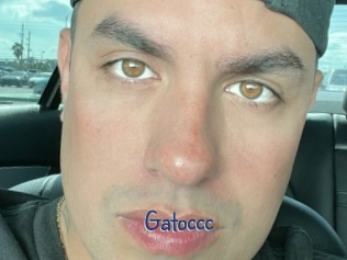 Gatoccc