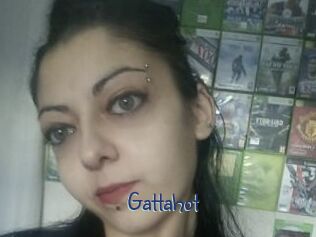 Gattahot