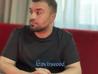 gavinwood Stripx