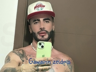 gawainn_zeldris Stripx