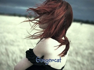Gingercat