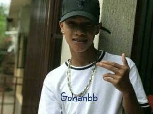 Gohanbb