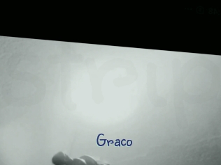 graco Stripx